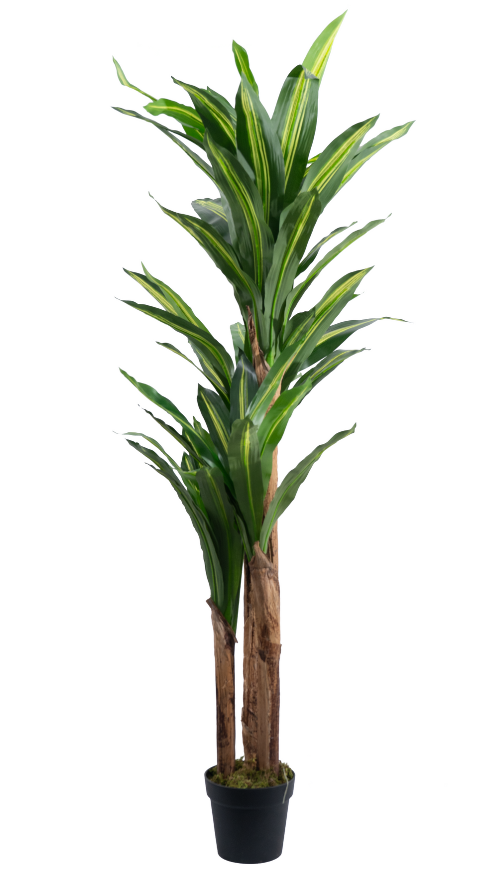 Artificial Dracaena Tree 180cm Tall Realistic Indoor Décor Tree