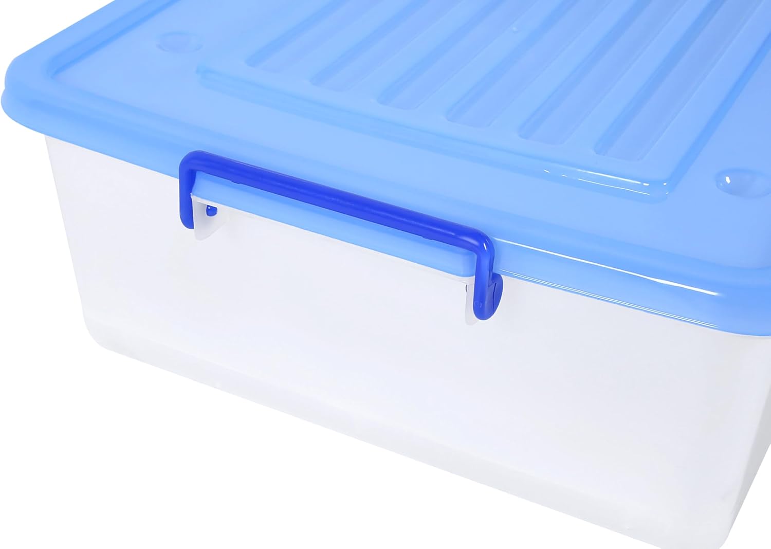 Close-up of Marcolo clear plastic box with blue lid/clip.