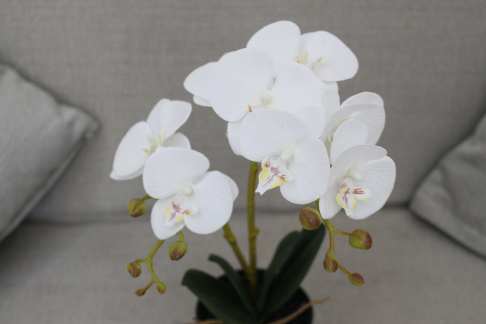Artificial Orchid Flower 40cm Compact Decorative Floral Accent