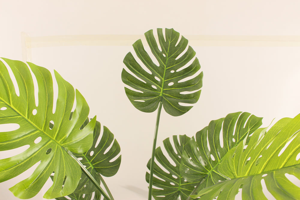 Artificial Monstera Tree 200cm Extra Tall Indoor Décor Tree