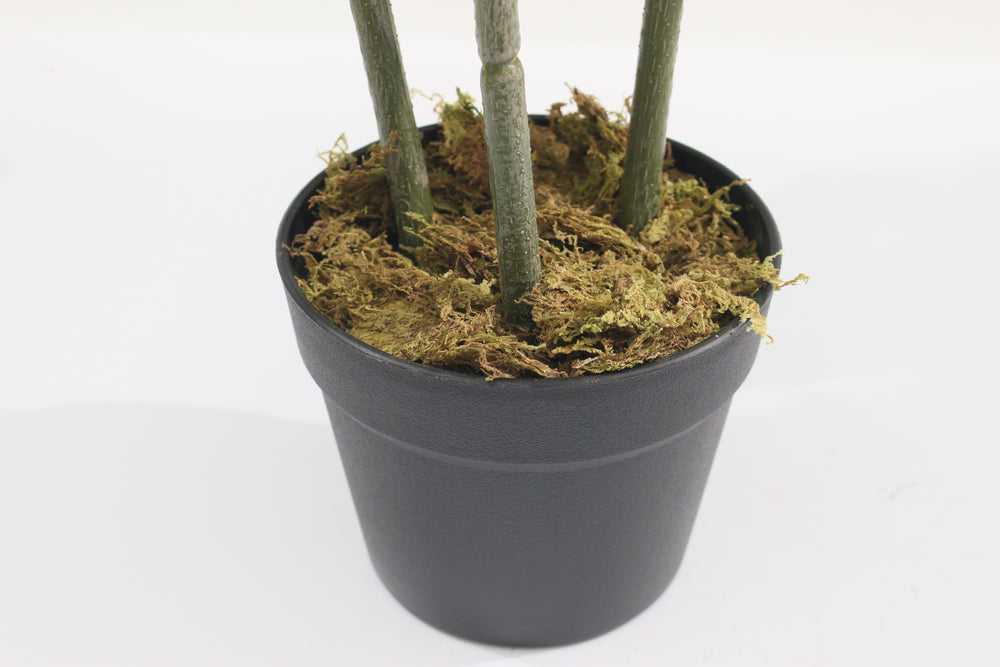 Artificial Schefflera Arboricola Tree 75cm 36l Indoor Décor