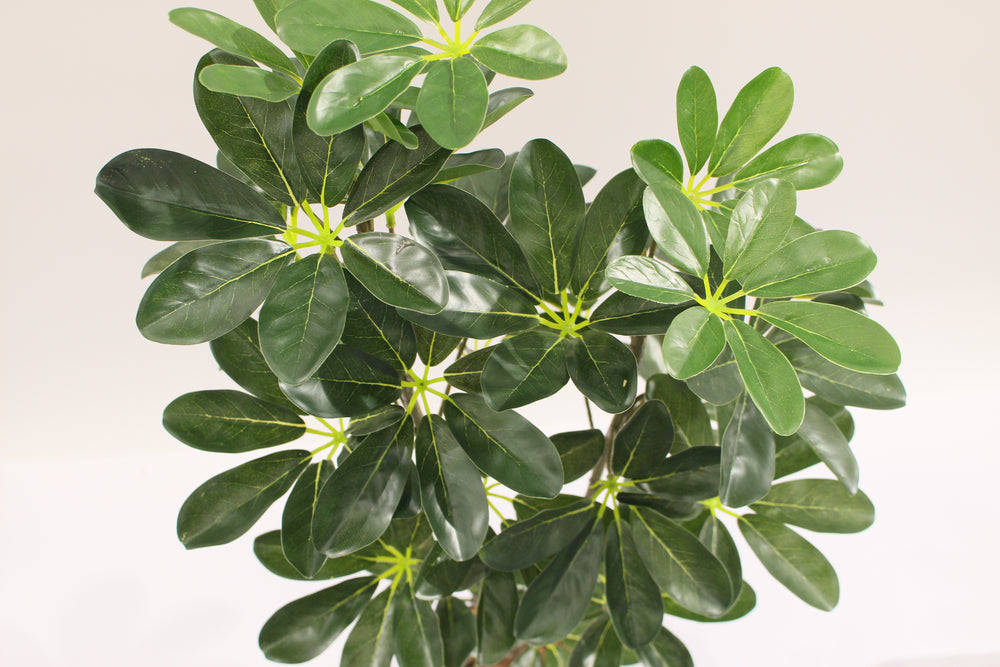 Artificial Schefflera Arboricola Tree 85cm 24l Indoor Décor