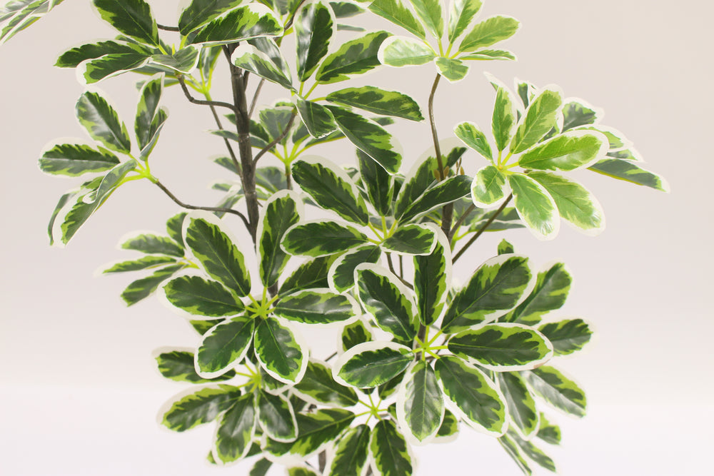 Artificial Schefflera Arboricola Tree 130cm 40l Indoor Décor