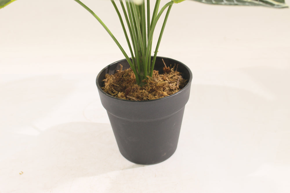 Artificial Taro Plant 60cm 18l Realistic Indoor Décor Plant