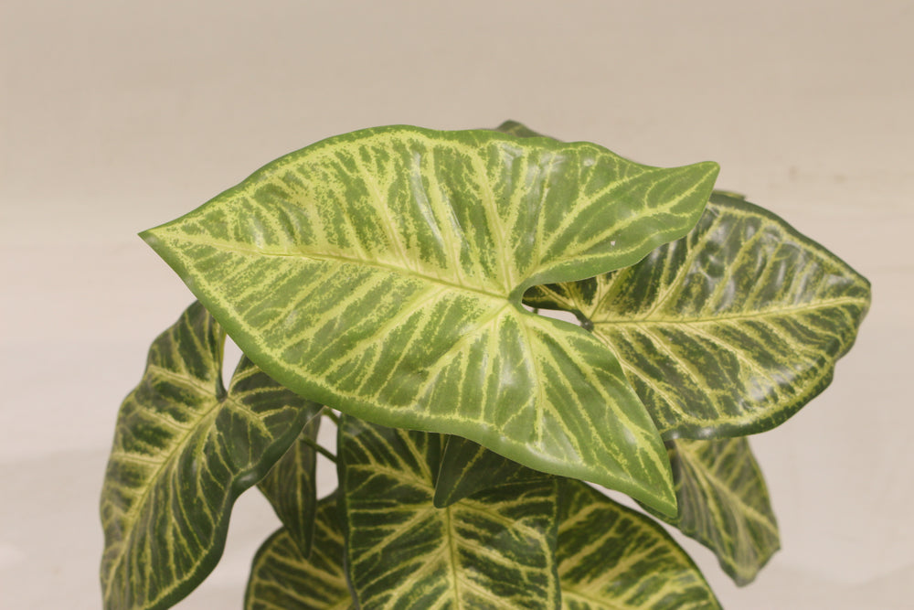 Artificial Taro Plant 35cm Compact Realistic Indoor Décor Plant