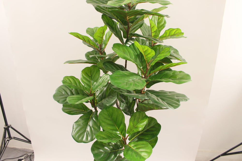 Close-up of the leaves on the Marcolo 160 cm artificial fiddle leaf fig tree
