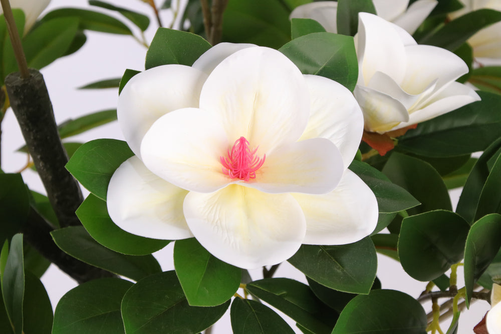 Artificial Magnolia Flower Tree 150cm Elegant Indoor Floral Décor