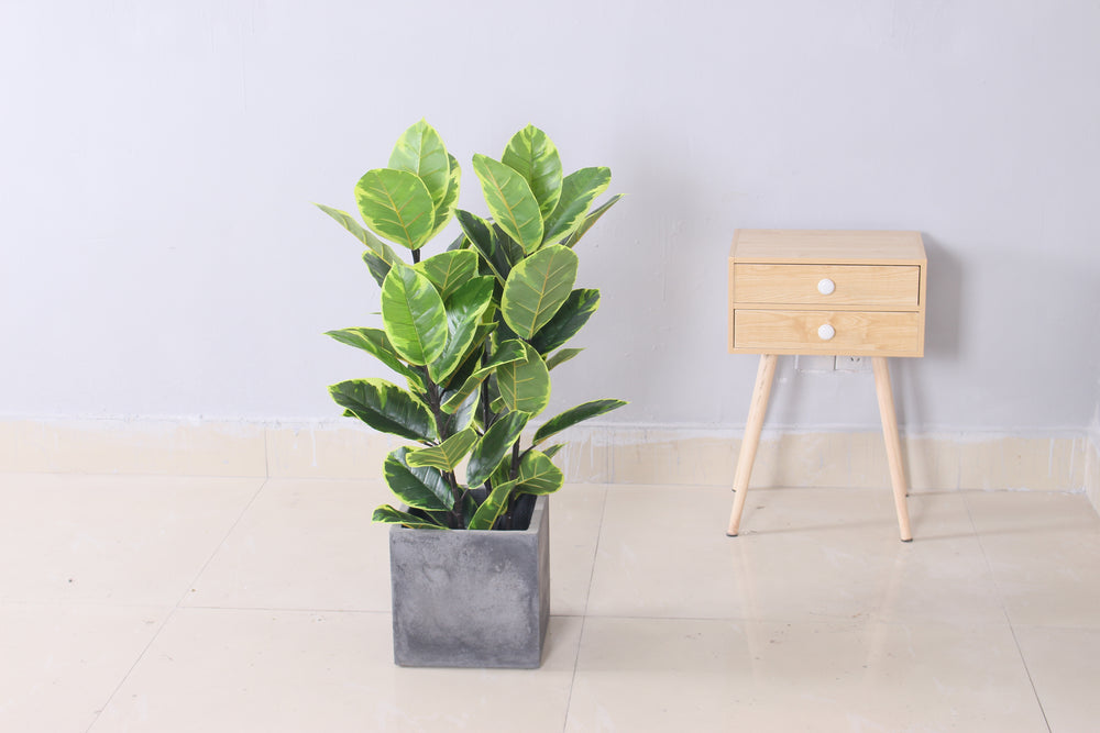 Artificial Rubber Tree 90cm Realistic Decorative Indoor Tree