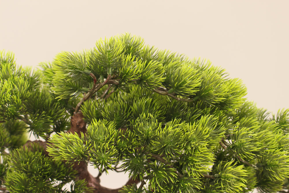 Artificial Pine Bonsai Tree 60cm Decorative Indoor Bonsai