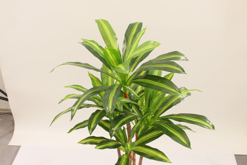 Artificial Dracaena Tree 90cm Compact Indoor Decorative Plant
