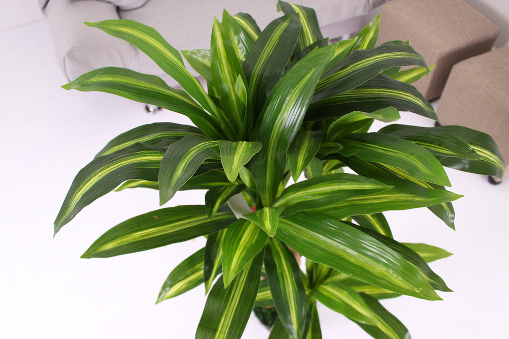 Artificial Dracaena Tree 100cm Realistic Indoor Decorative Plant