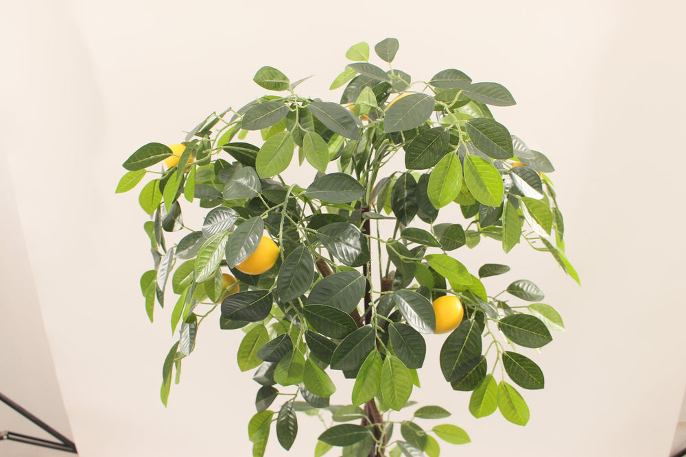 Close-up of the artificial lemon tree foliage with yellow lemons