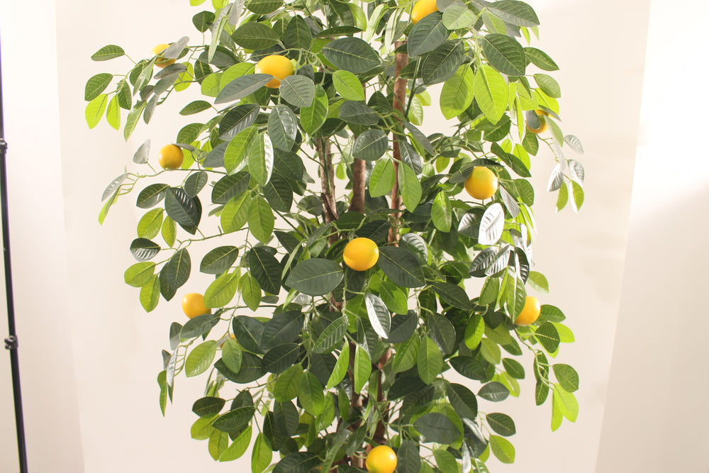 Artificial Lemon Tree 180cm Tall Lifelike Indoor Décor Tree