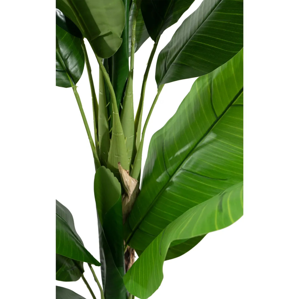 Marcolo 210cm artificial banana tree with thick, realistic trunks and lush green tropical leaves.