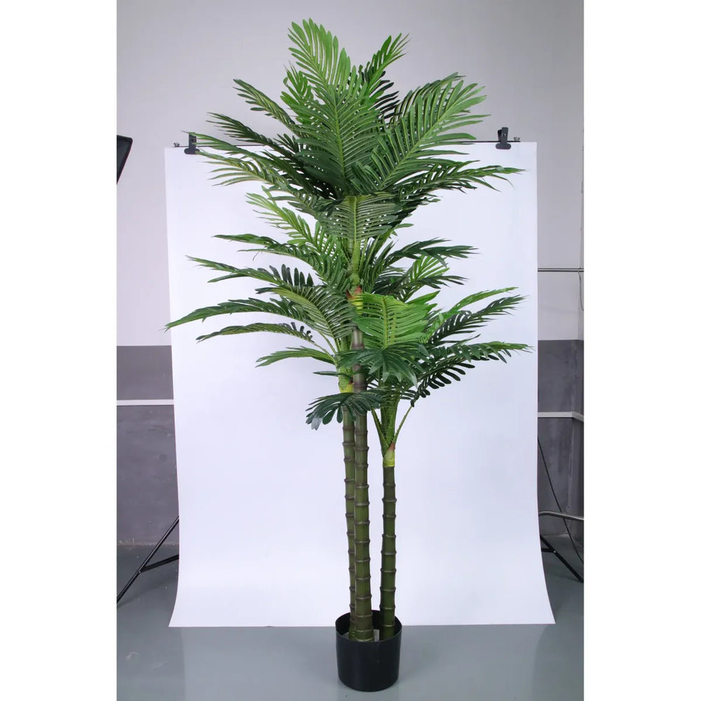Marcolo 225cm artificial palm tree in a studio setting.