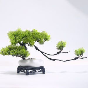 Artificial Pine Bonsai in Decorative Pot, 23 cm (APML06)