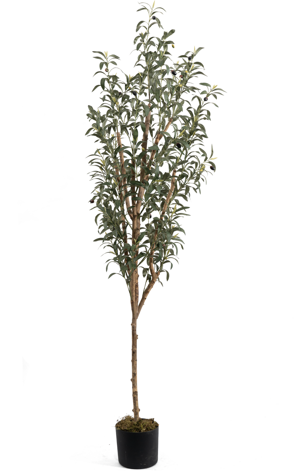 Artificial Olive Tree 180cm Lifelike Indoor Decorative Tree