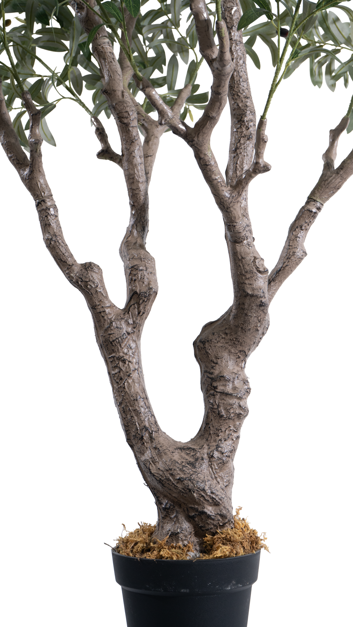 Sturdy, textured trunk of a Marcolo artificial olive tree.