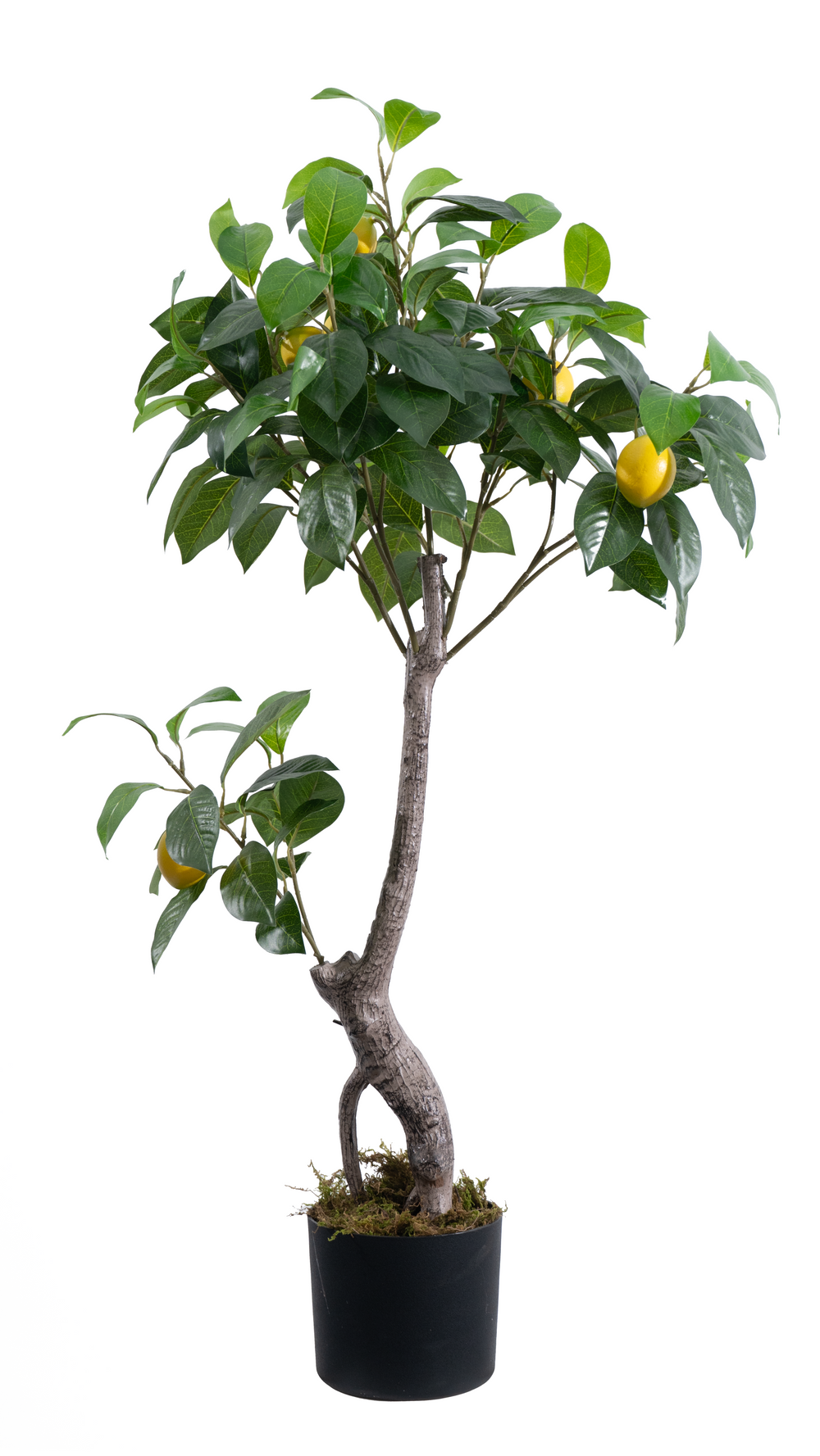 Artificial Lemon Tree 100cm Realistic Indoor Decorative Tree