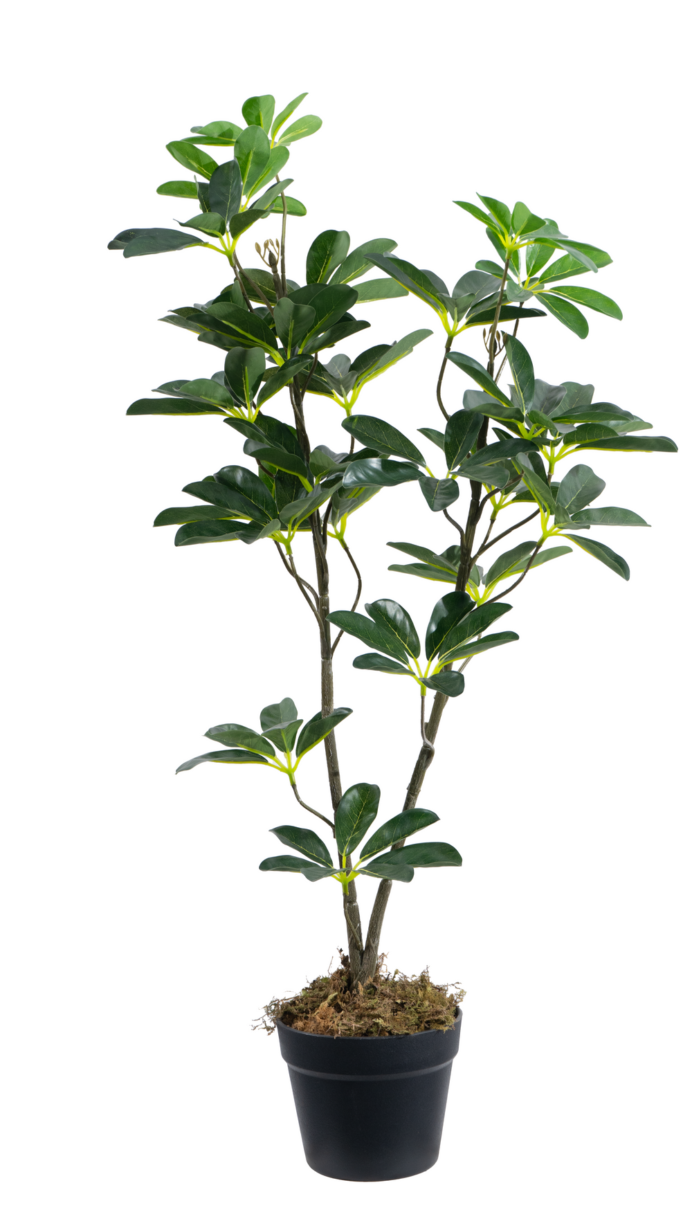 Artificial Seven Star Leaf Tree 85cm Indoor Decorative Plant