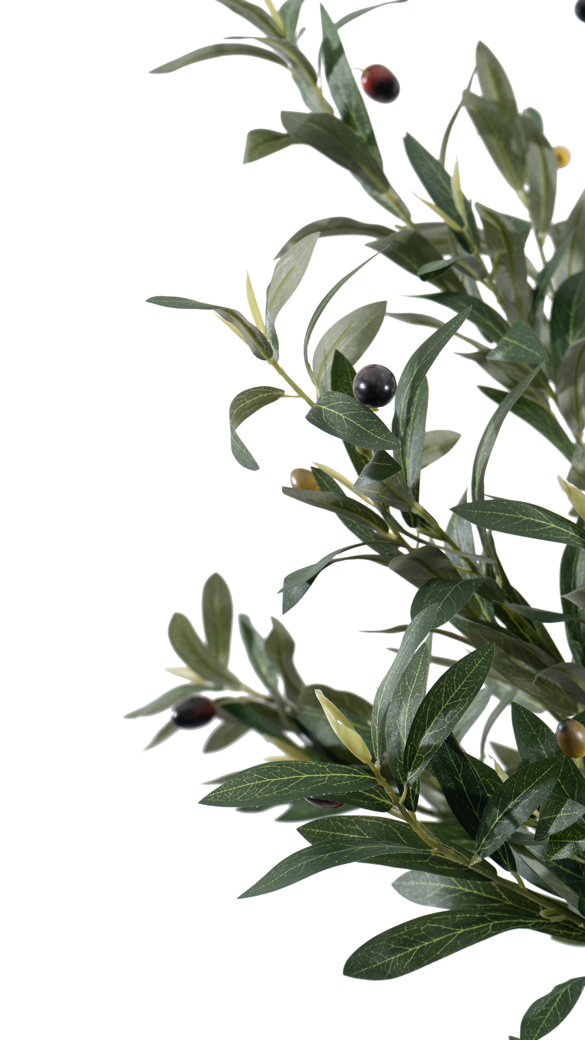 Close-up of Marcolo artificial olive tree leaves and fruit.
