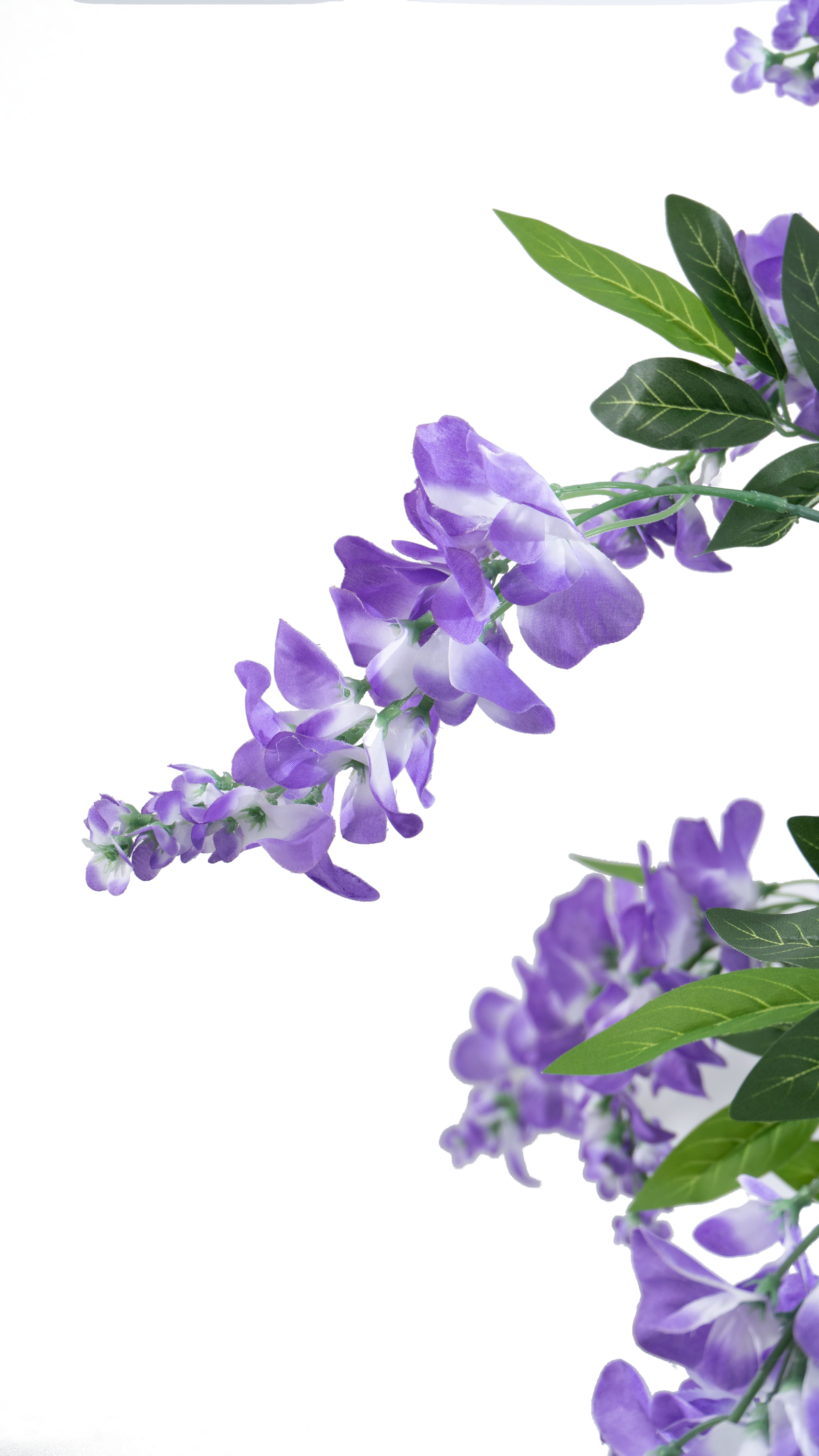 Purple artificial Douhua tree leaves and flowers by Marcolo.