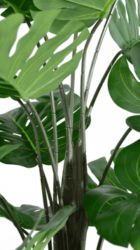 Marcolo 130cm Artificial Monstera Tree Stem Detail View