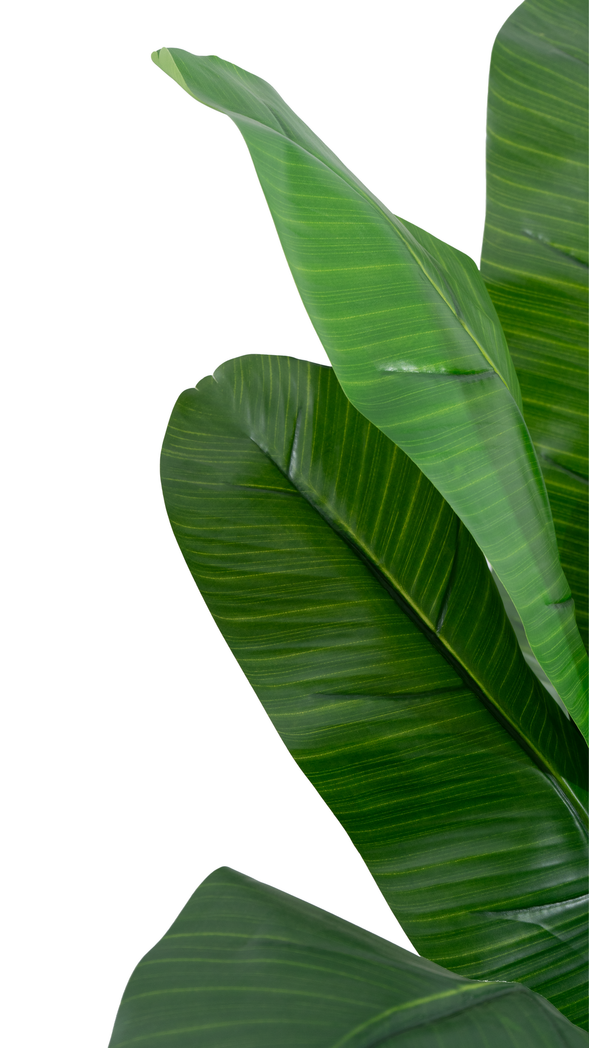 Marcolo artificial banana tree with large, realistic green leaves featuring detailed ridges.