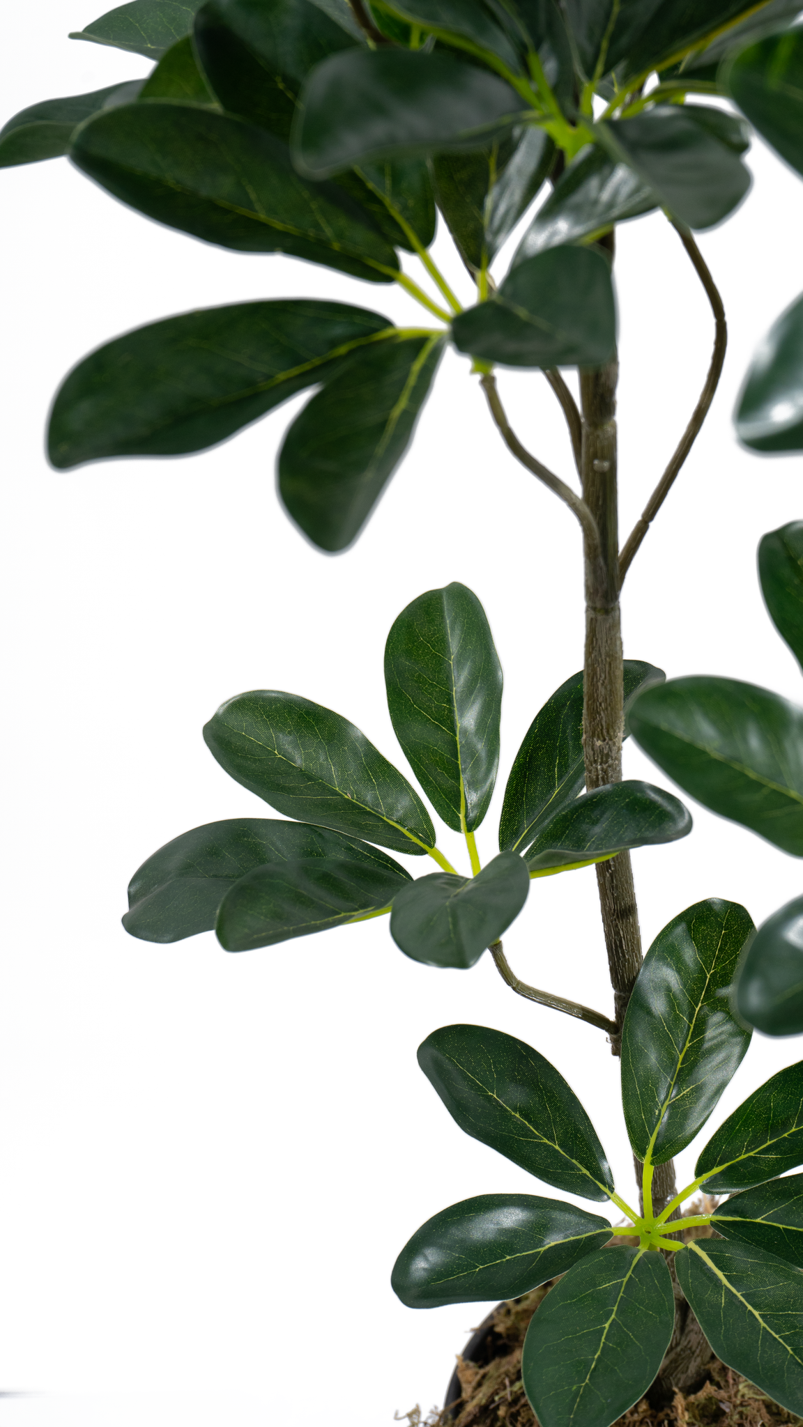 Marcolo 85cm artificial seven star leaf tree side foliage