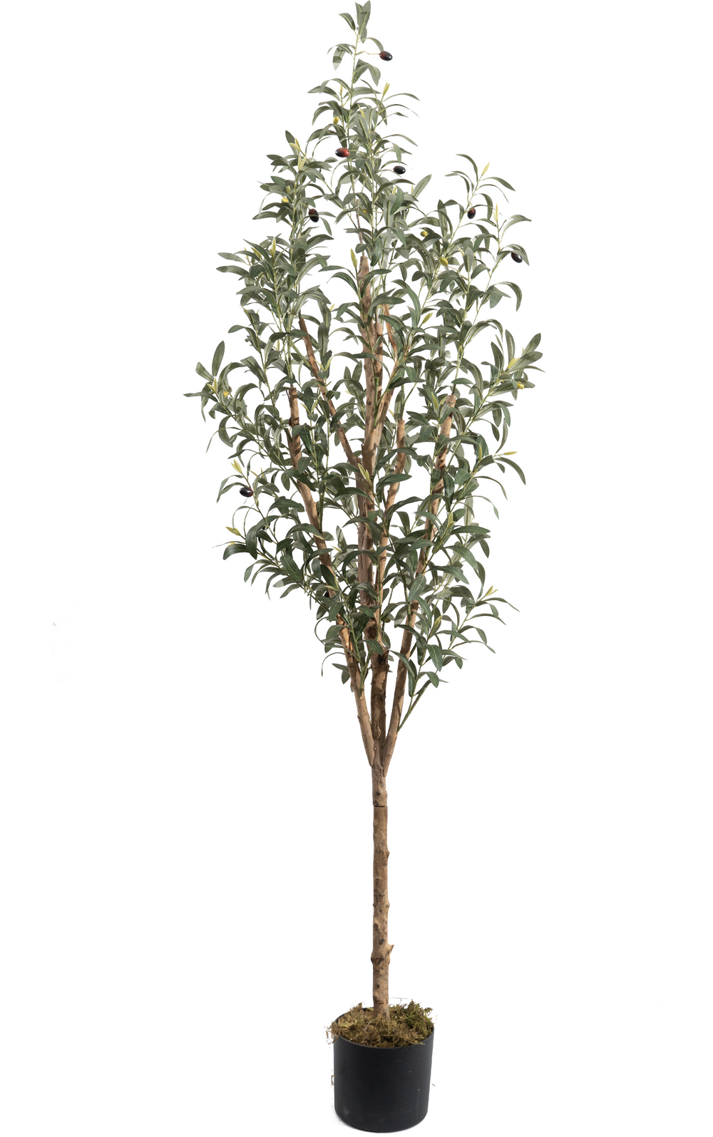 Artificial Olive Tree 180cm Lifelike Indoor Decorative Tree