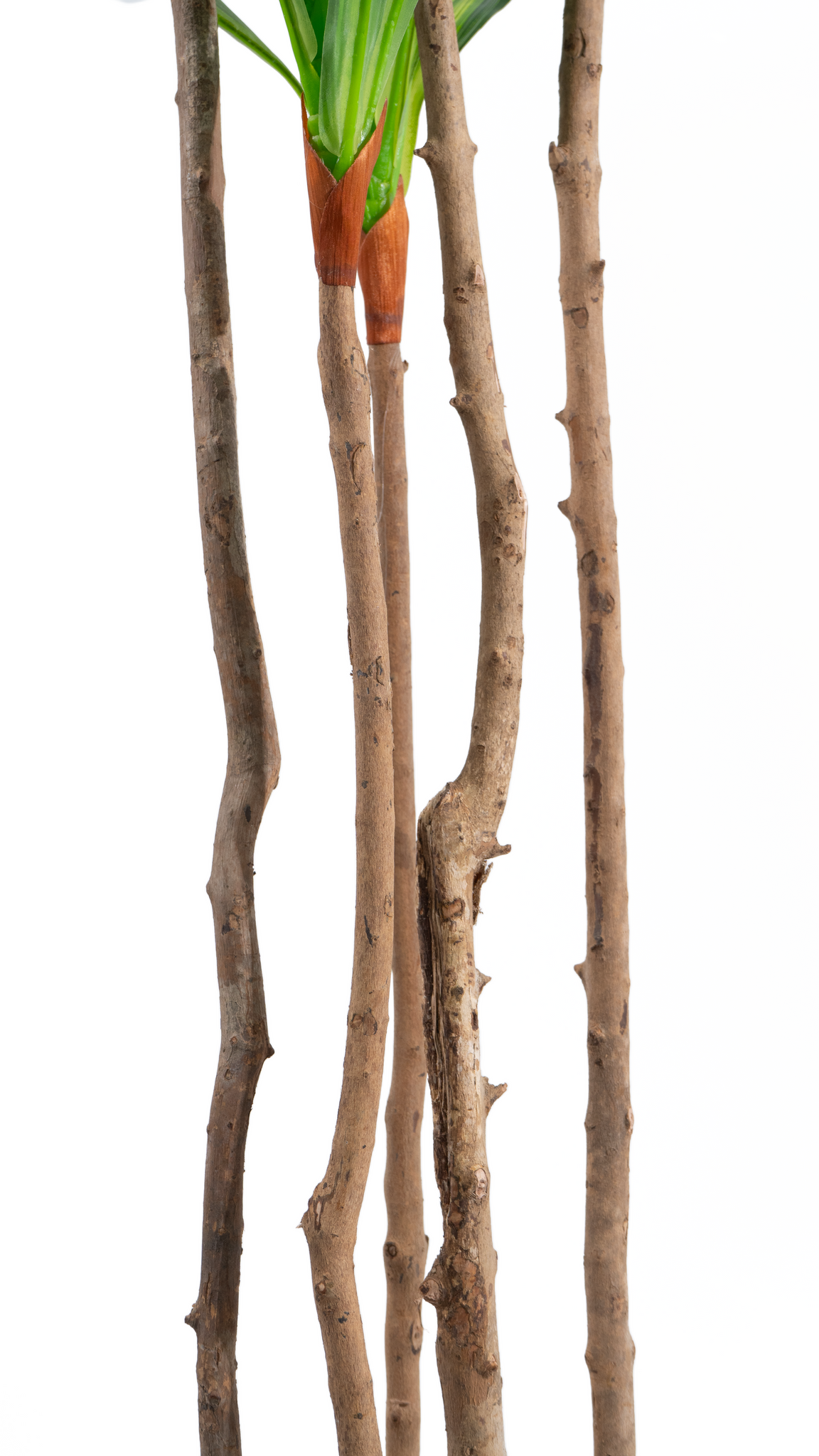 Stems of the Marcolo 180 cm artificial dracaena tree