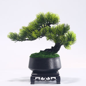 Artificial Pine Bonsai, Black Pot on Wooden Stand, 25 cm