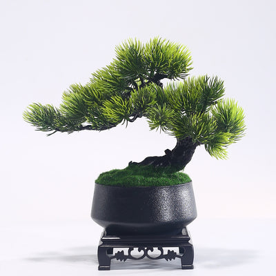 Artificial Pine Bonsai, Black Pot on Wooden Stand, 25 cm