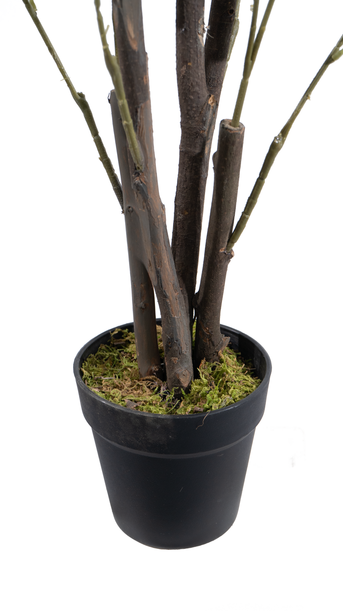 Marcolo artificial orange tree trunk in a black pot.