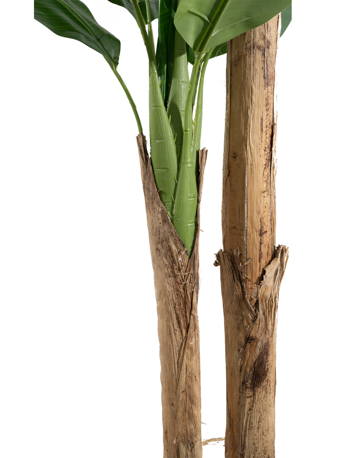 Marcolo artificial banana tree showing realistic textured trunks and green stems close-up.