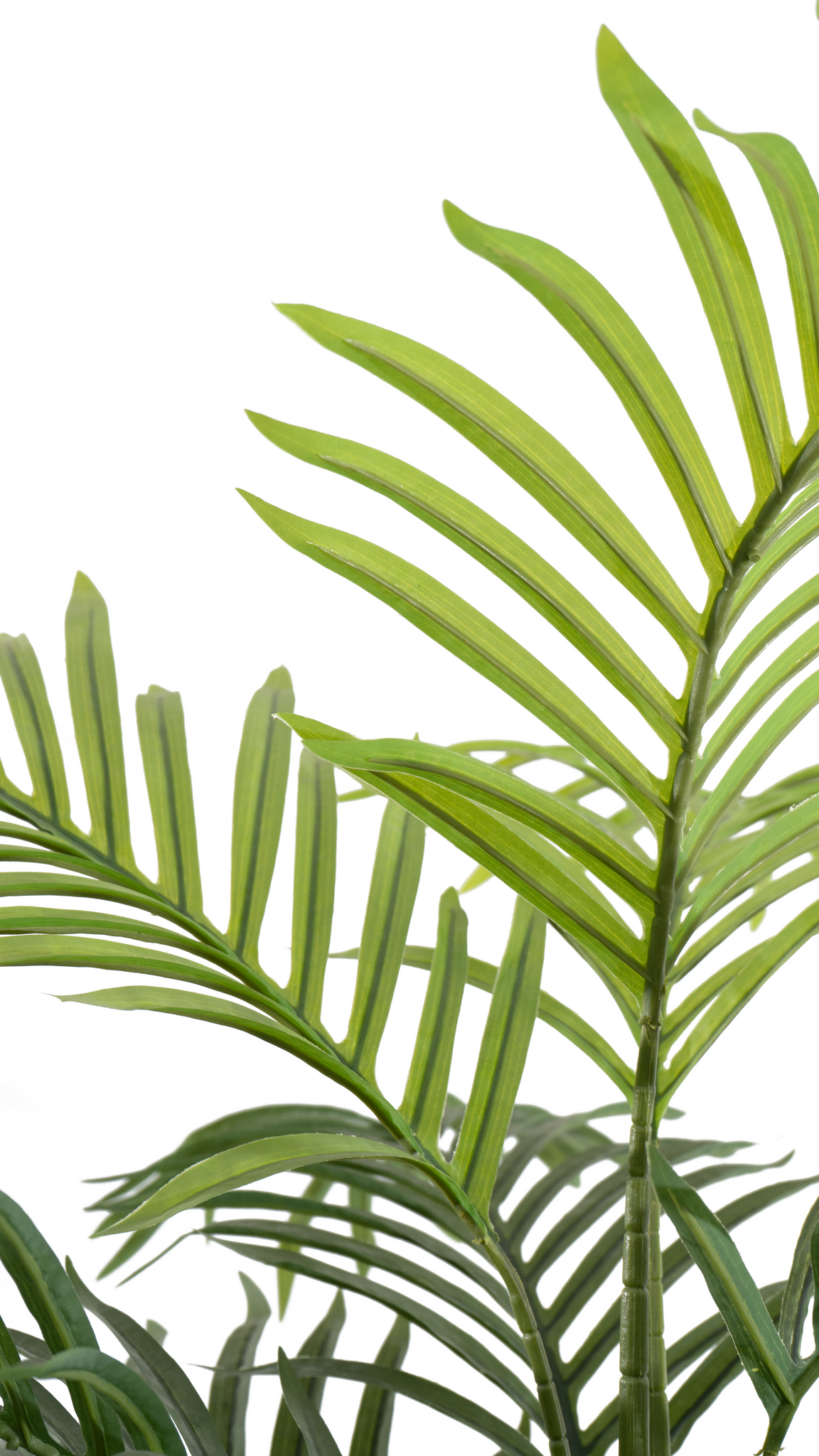 Close-up of a frond on the Marcolo 140 cm artificial palm tree