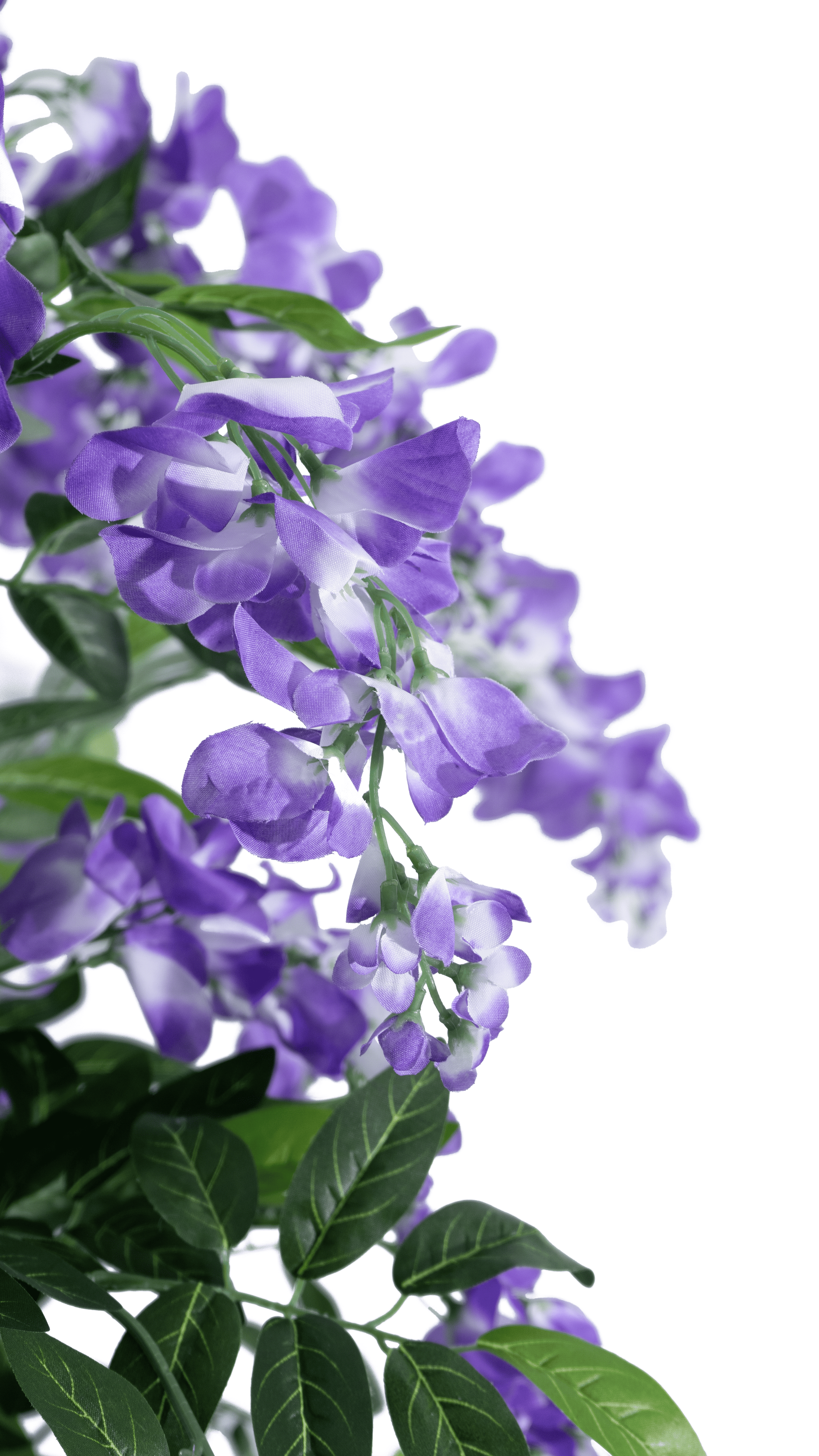 Purple artificial Douhua tree flowers by Marcolo brand.