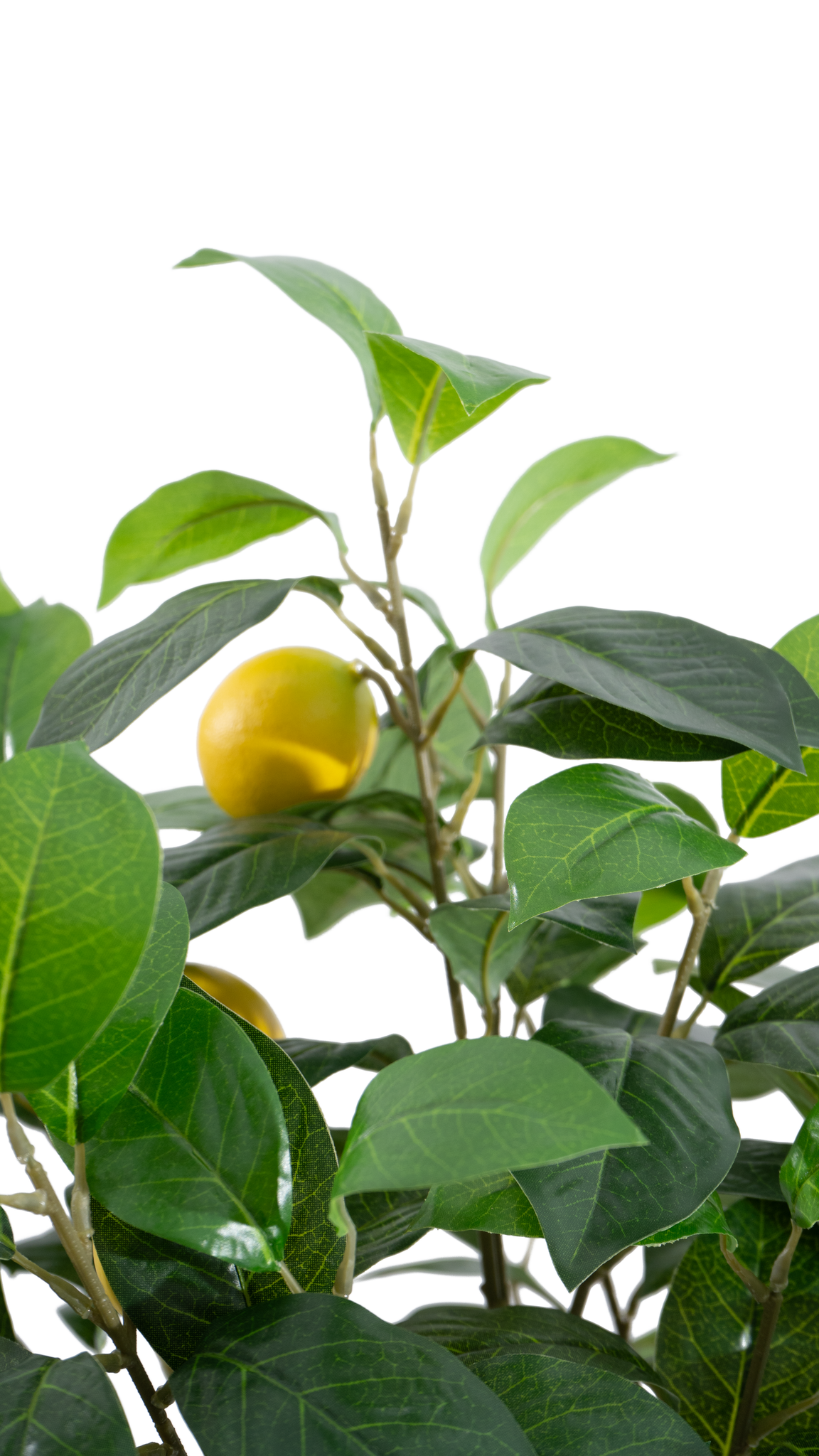 Marcolo Artificial Lemon Tree Leaves and Fruit Detail