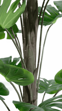 Marcolo 130cm Artificial Monstera Tree Trunk & Stems View