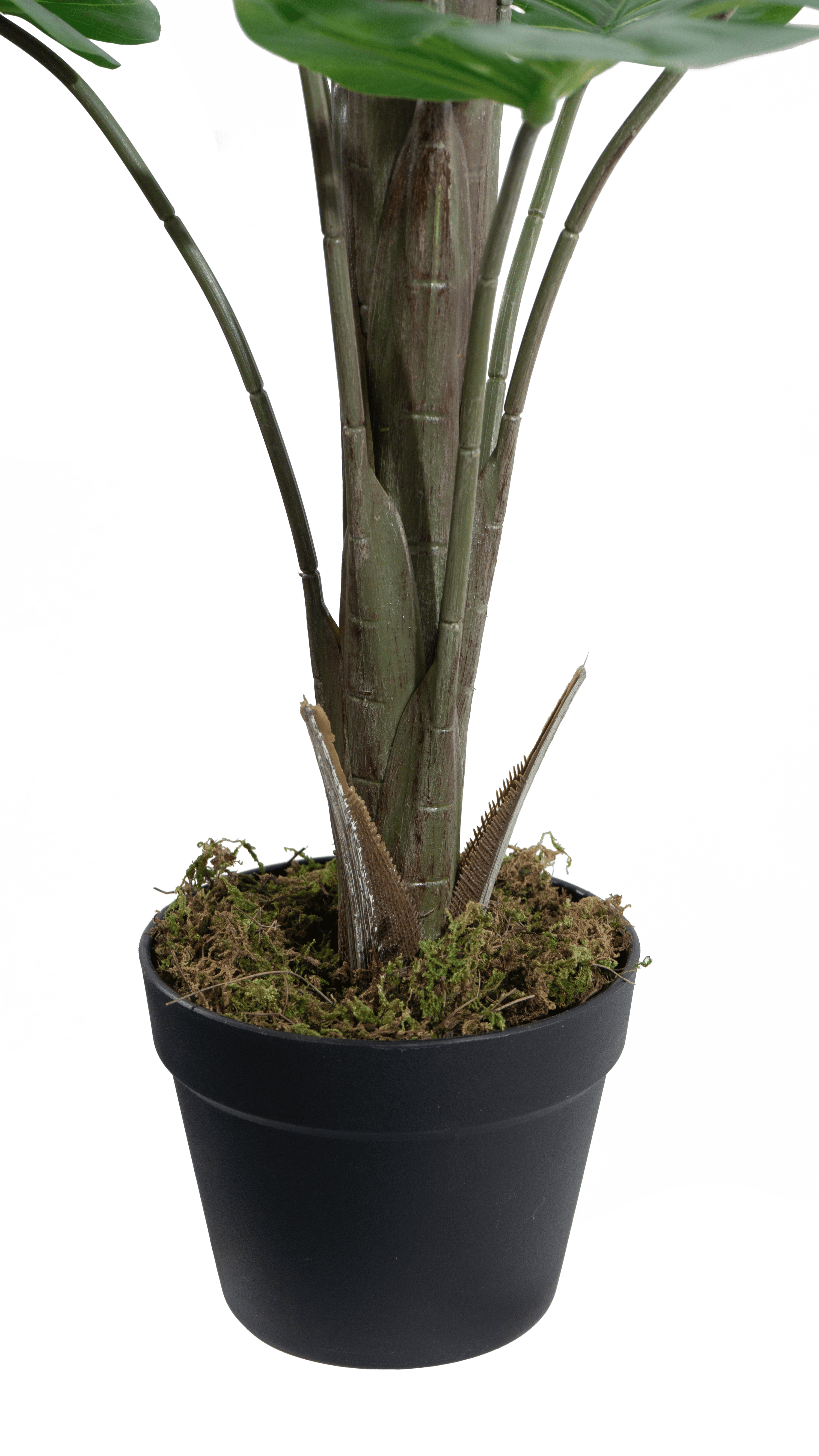 Buy Artificial Monstera Tree 130cm – Indoor Décor