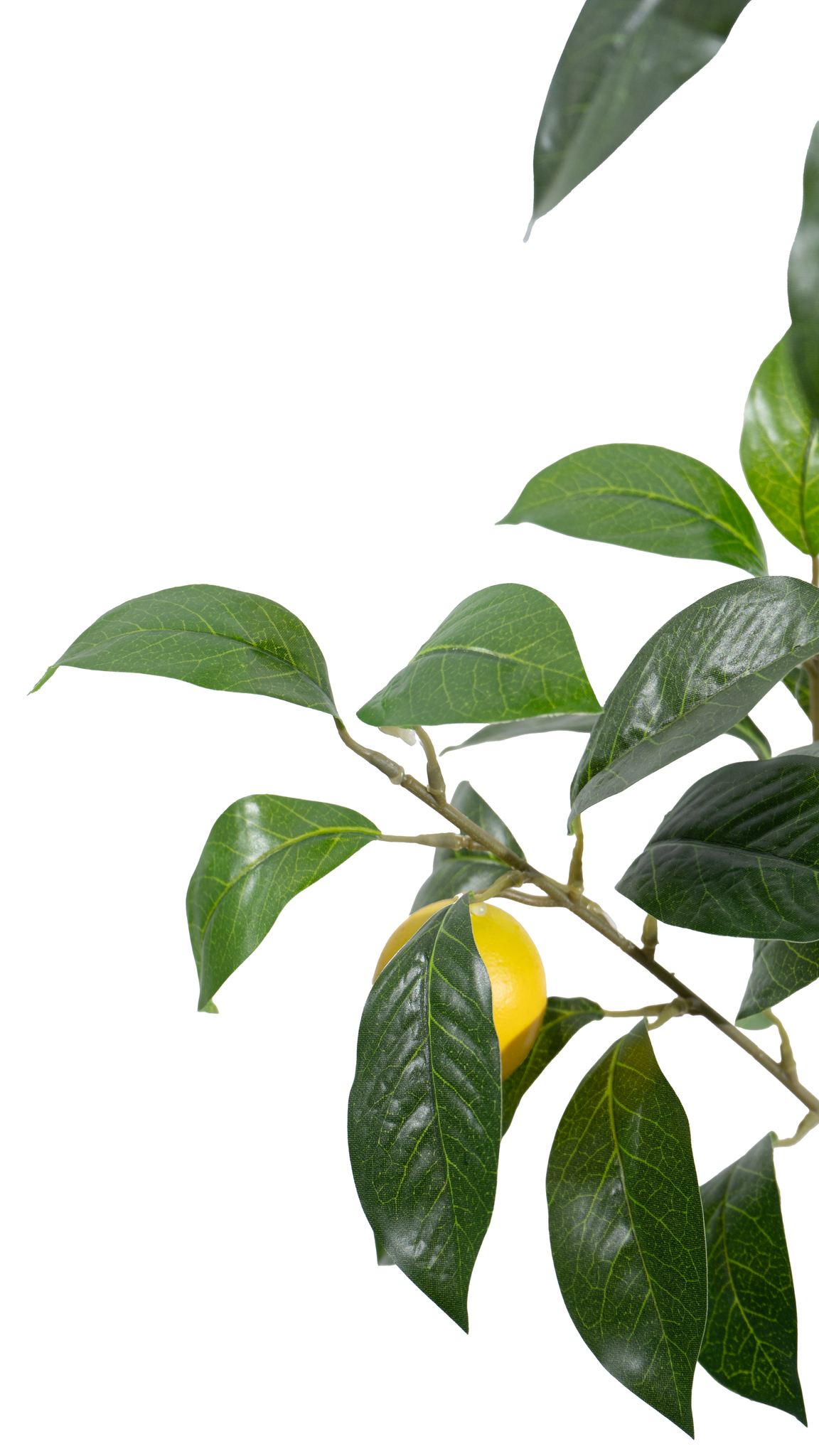 Marcolo Artificial Lemon Tree Green Foliage and Yellow Fruit