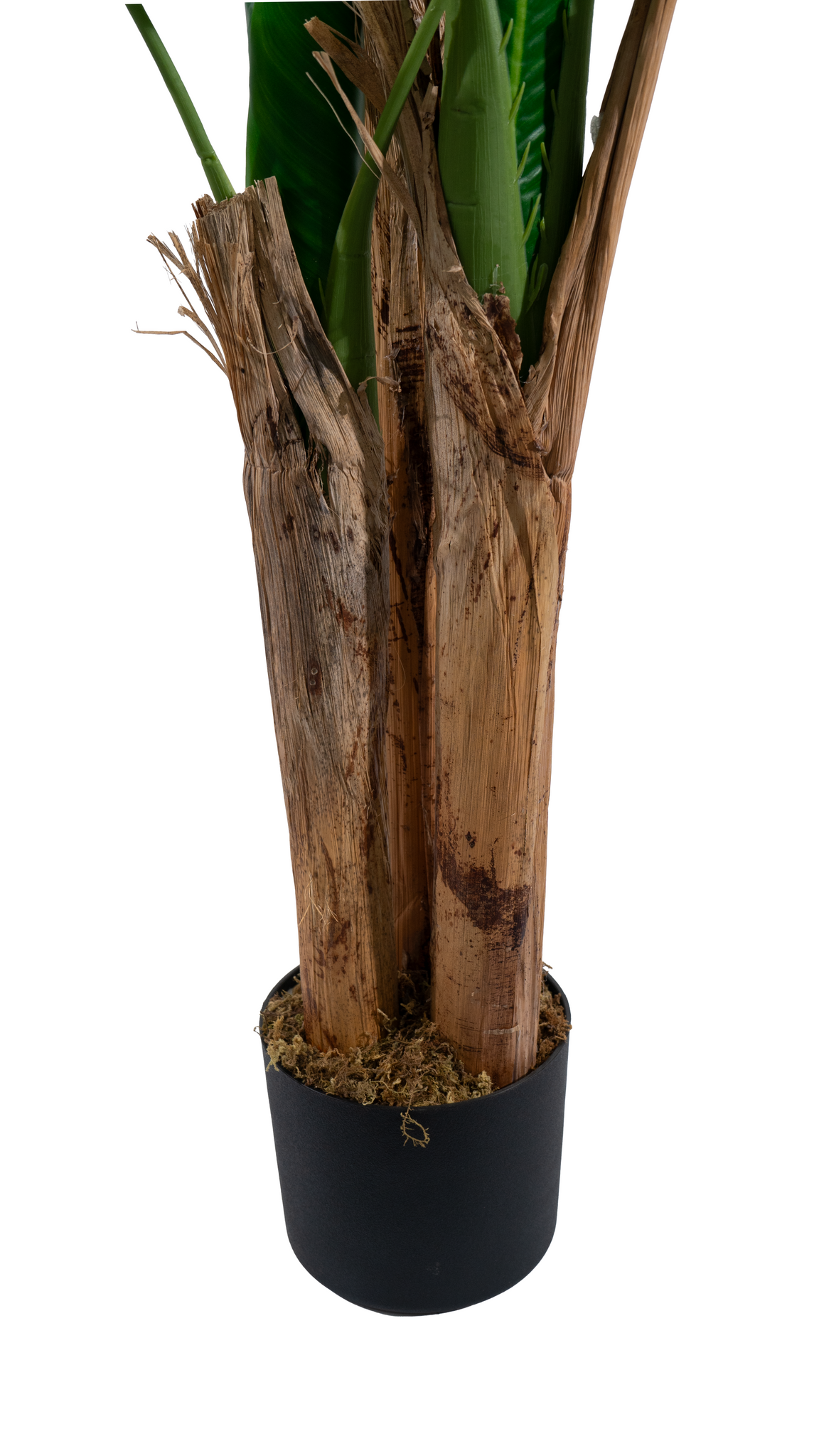 Marcolo artificial banana tree base with realistic textured trunks in a black plastic pot.