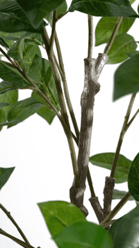 Marcolo 130cm Artificial Lemon Tree Branch & Leaf Detail