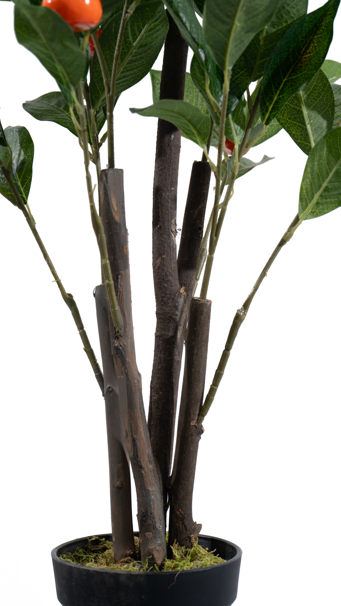 Marcolo artificial orange tree trunk and base detail.