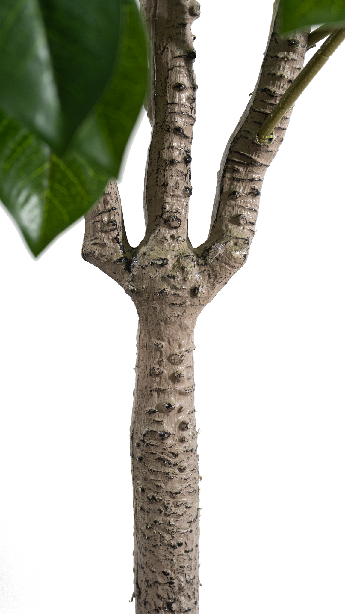 Marcolo 150cm Artificial Lemon Tree Textured Trunk Detail