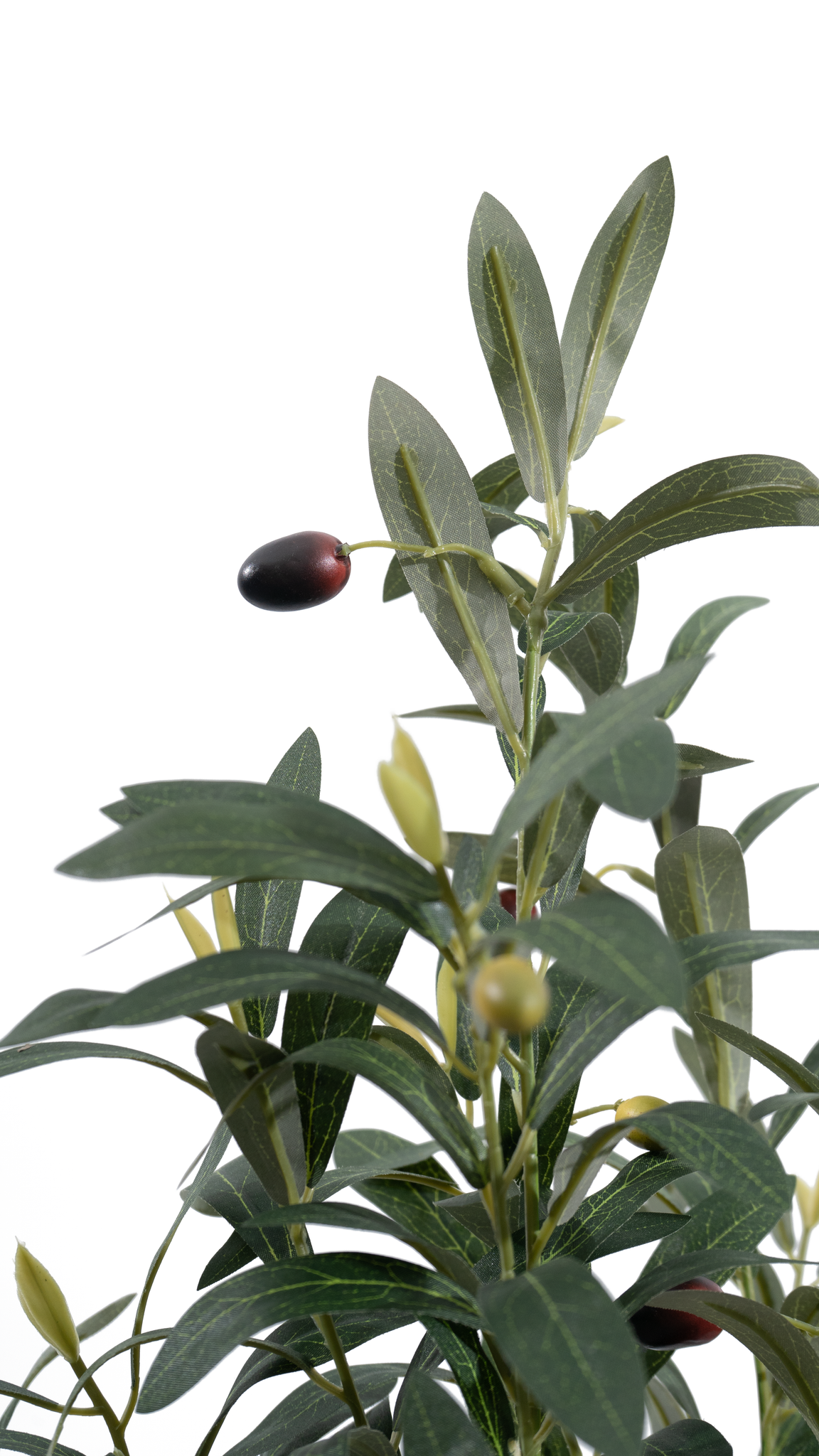 Close-up of leaves and black olives on the Marcolo artificial olive tree