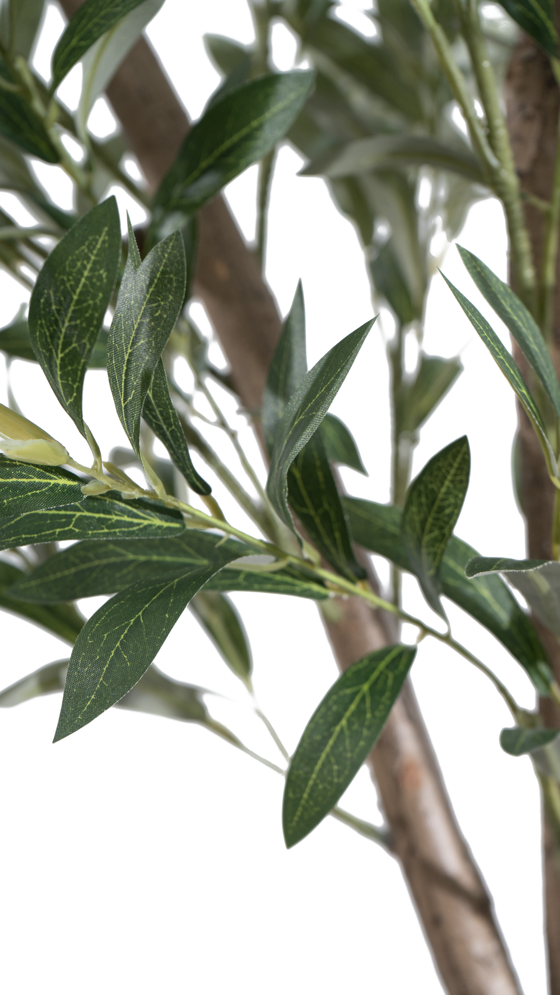 Lush green foliage of the Marcolo artificial olive tree.