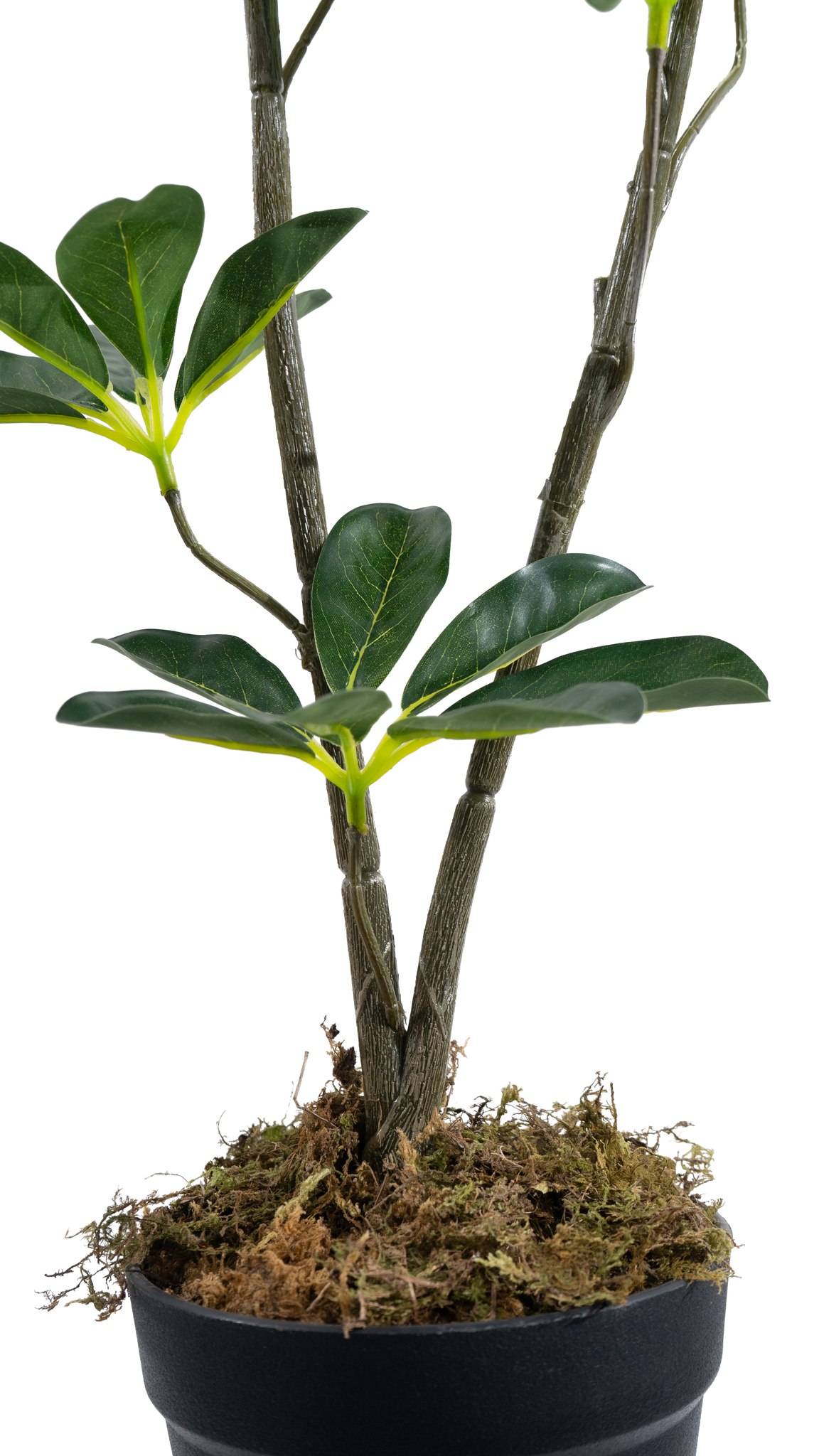 Marcolo 85cm artificial seven star leaf tree trunk detail