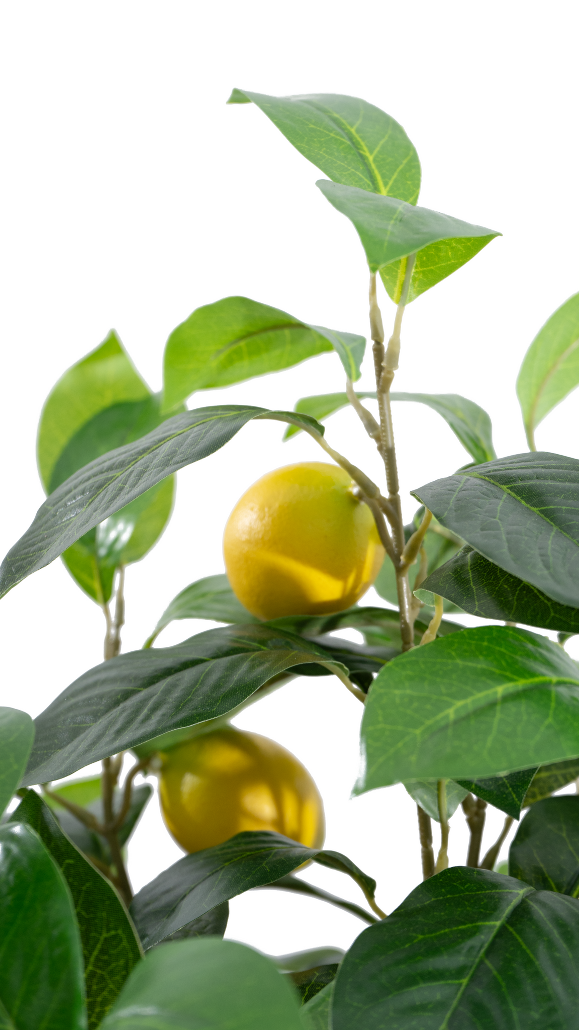 Marcolo Artificial Lemon Tree Close-up with Yellow Fruit