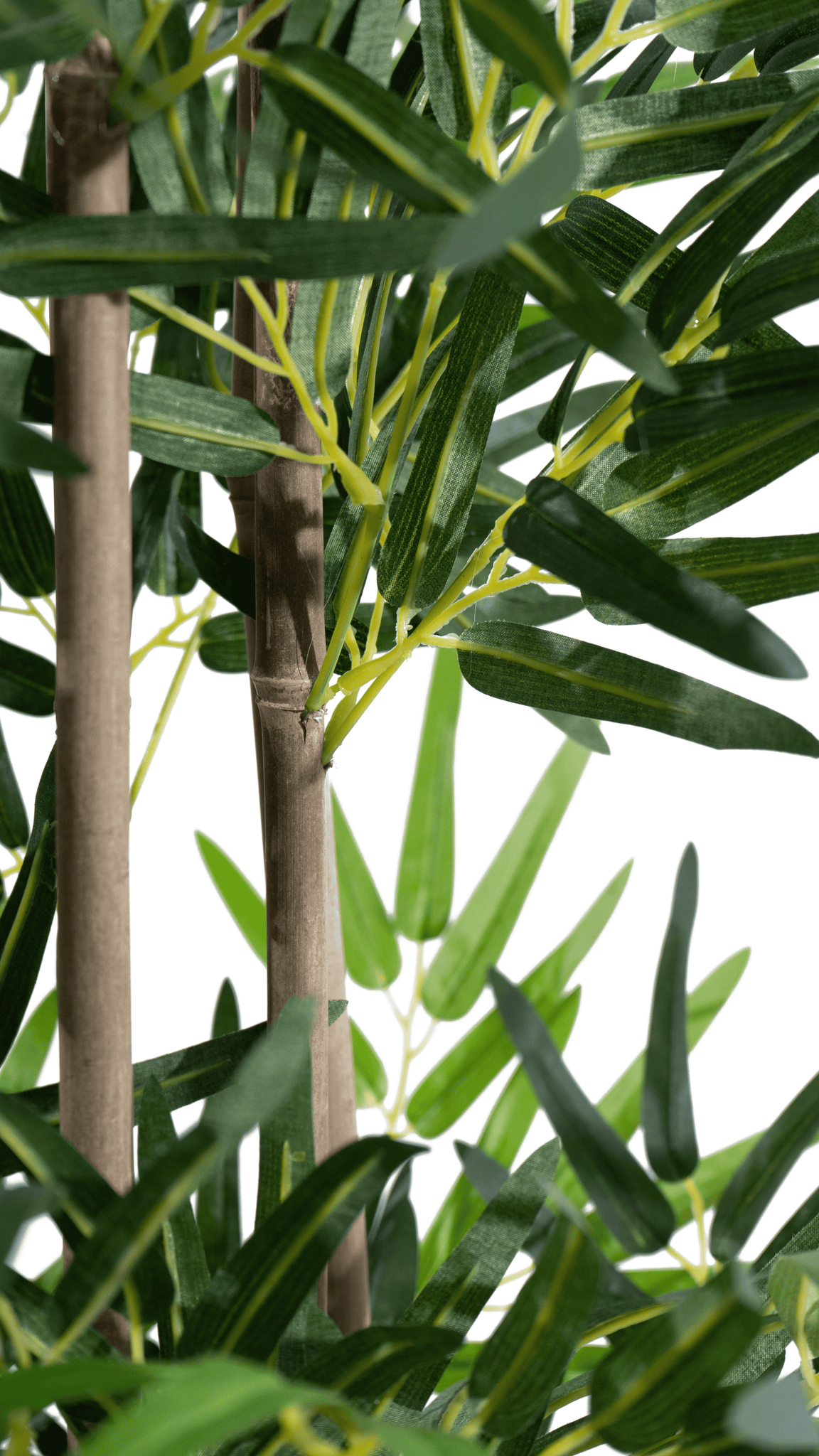 Detail of the foliage on the Marcolo 180 cm artificial bamboo plant